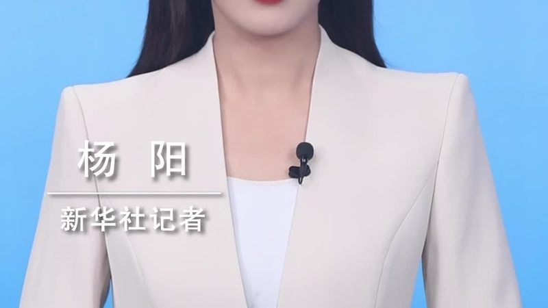 知识图谱知识表示学习：开源工具的选择与考量